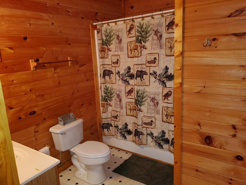 Story Brook: Beautiful True Log Cabin! Close To Dollywood, State Park, And More!